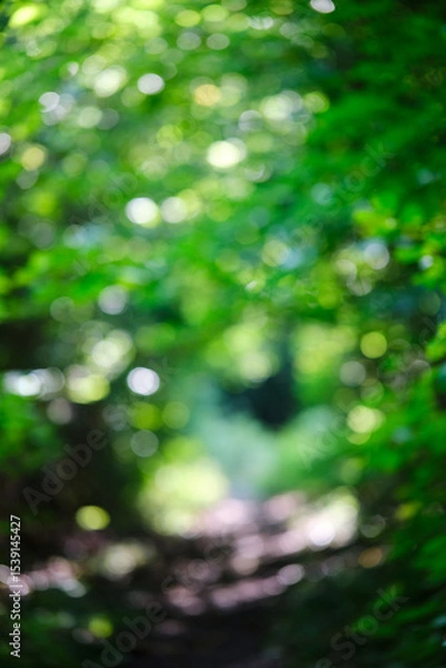 Fototapeta Green bokeh background from nature forest out of focus