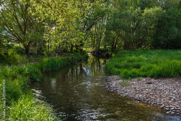 Fototapeta A Serene Riverbank, Gently Flowing and Beautifully Surrounded by Lush Greenery and a Cloudy Sky