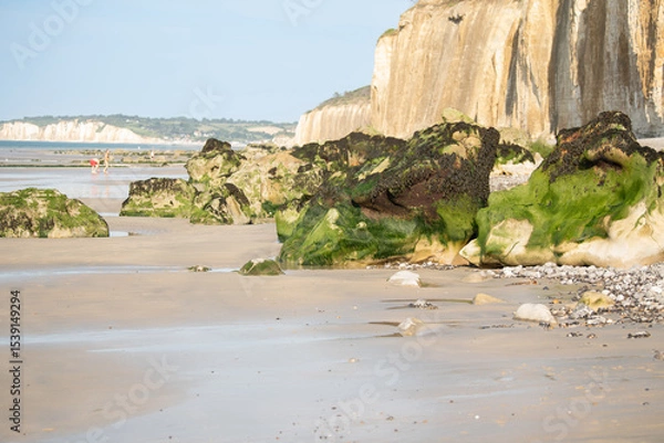 Fototapeta Stone with moss after the ebb of the ocean