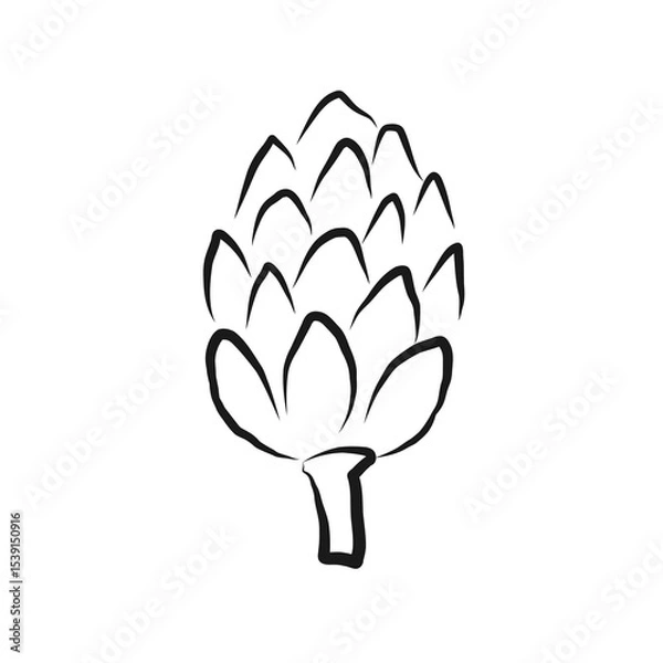 Obraz Artichoke ink sketch. Edible flower bud, healthy vegetable. Fresh hand drawn artichoke in simple line art style on isolated background. Artistic food vector illustration for logo, design, label, card