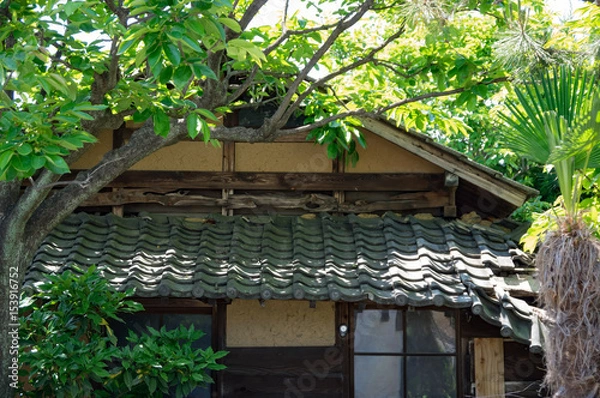 Fototapeta 空き家