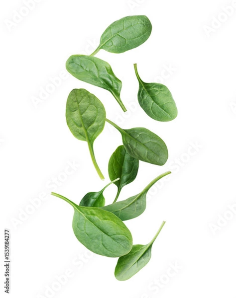 Fototapeta Fresh spinach leaves in the air on a white background