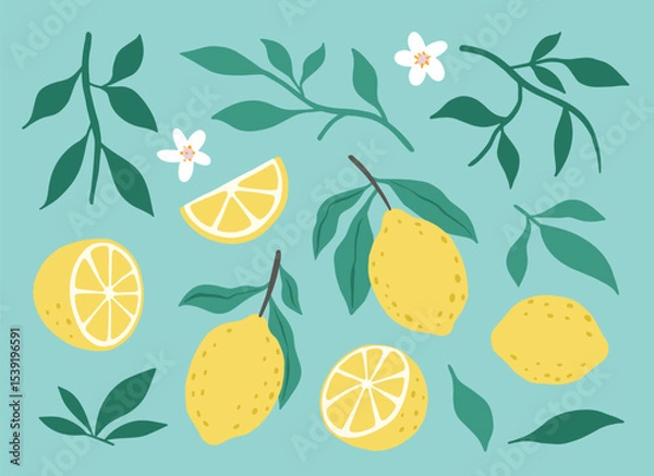 Obraz Fresh juicy lemon fruit leaves flowers isolated on a green background. Colorful half and whole lemon with a leaf. Perfect for juice or jam. Vector illustration.	