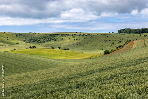 Obraz Farmland in the South Downs, on a sunny summer's day