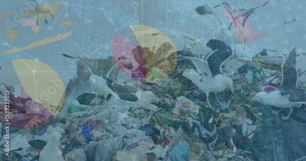 Obraz Gulls pecking through waste heap in coastal dump, with plastic bags bottles and digital overlays