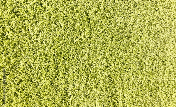 Fototapeta green texture background soft carpet for interior 