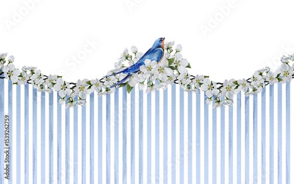 Fototapeta Seamless border design with delicate apple tree blossoms over vertical blue watercolor stripes and a perched blue songbird. Great for spring-themed packaging, stationery, wrapping, and surface prints.