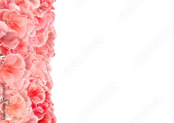 Fototapeta Vertical floral border on the left with hand-painted pink geraniums. White space on the right for text. Great for scrapbooking, packaging, wallpaper, and decoupage projects.