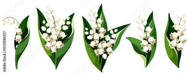 Obraz Lily of the valley flowers isolated on a white background. Set of vector illustrations