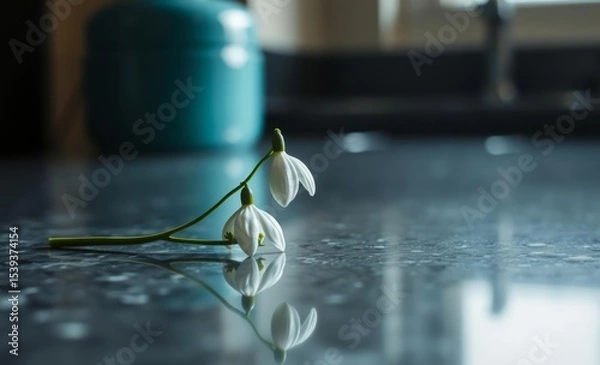 Fototapeta A delicate snowdrop flower a symbol of hope and new beginnings rests on a polished emerald pearl granite worktop its pristine white petals contrasting beautifully with the cool grey surface
