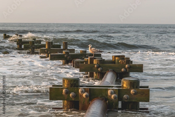 Obraz A seagull perched on wooden posts in the ocean with waves crashing around the posts at the coastline