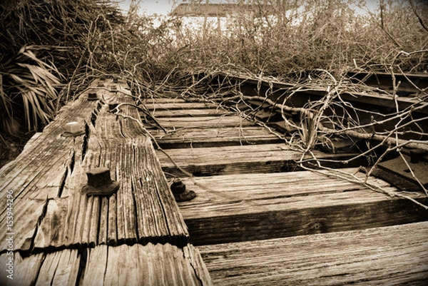 Obraz Abandon Railway