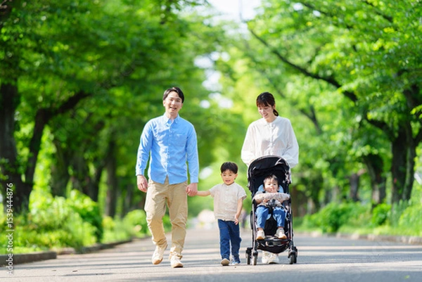 Fototapeta  並木道を歩く四人家族