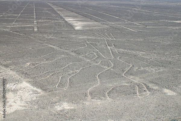 Obraz Aerial View of Geoglyph at the Nazca Lines in Peru