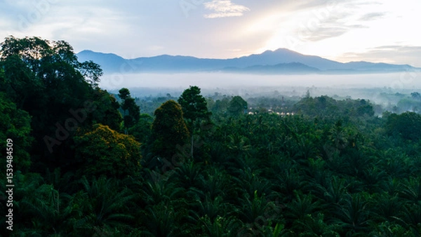 Obraz Early morning aerial view of mountains and fog.