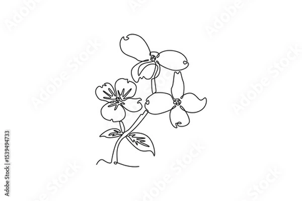 Fototapeta Floral with branch concept. Single line draw design. Vector graphic illustration