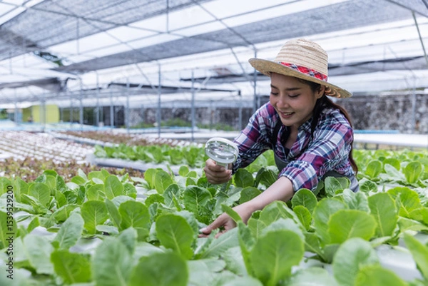 Obraz A young woman wearing a straw hat inspects lettuce plants with a magnifying glass in a hydroponic greenhouse. She carefully monitors crop health in a clean, sustainable farming environment.