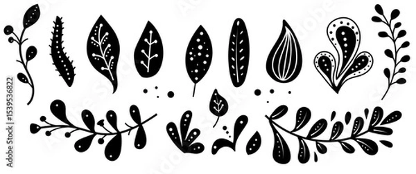 Obraz Black and white leaf patterns showcasing various plant shapes and textures