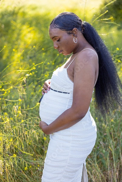 Obraz In a serene summer scene, a joyful pregnant woman embraces her baby bump outdoors, surrounded by greenery and flowers, radiating warmth, happiness, and anticipation of new beginnings