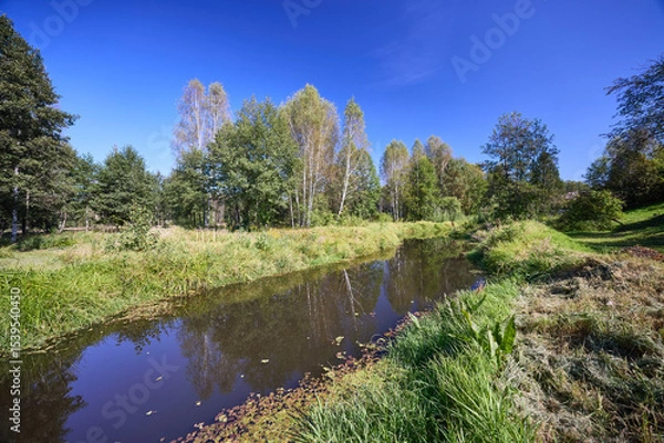 Obraz Serene Riverbank Scene with Lush Greenery