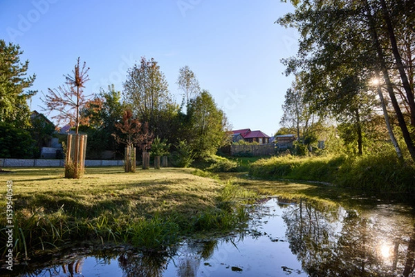 Obraz Serene Riverbank Scene with Lush Greenery