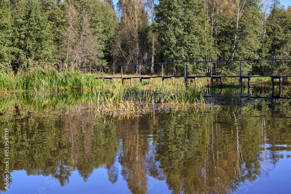 Obraz Serene Forest Lake with Wooden Bridge Reflection