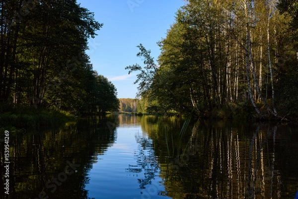 Obraz Serene Riverbank Scene with Lush Greenery
