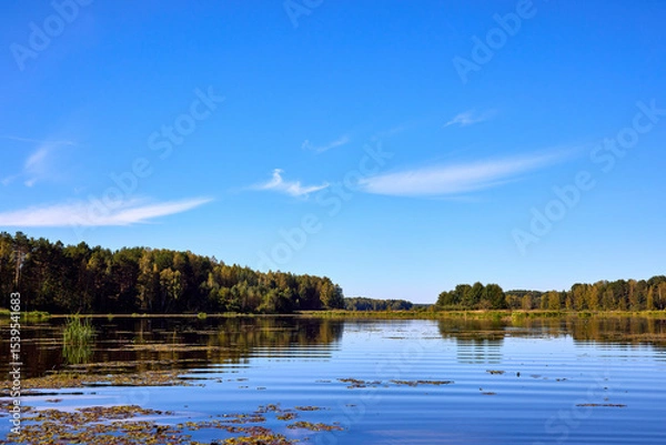 Obraz Serene Riverbank Scene with Lush Greenery