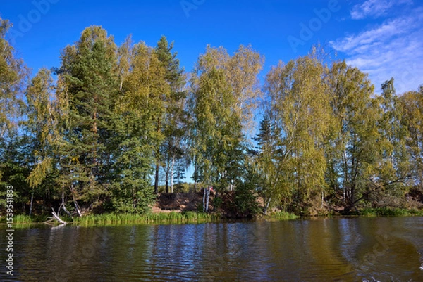 Obraz Serene Riverbank Scene with Lush Greenery