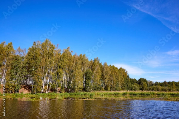 Obraz Serene Riverbank Scene with Lush Greenery