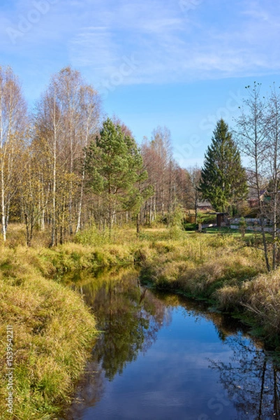 Obraz Tranquil view of the river bank in autumn
