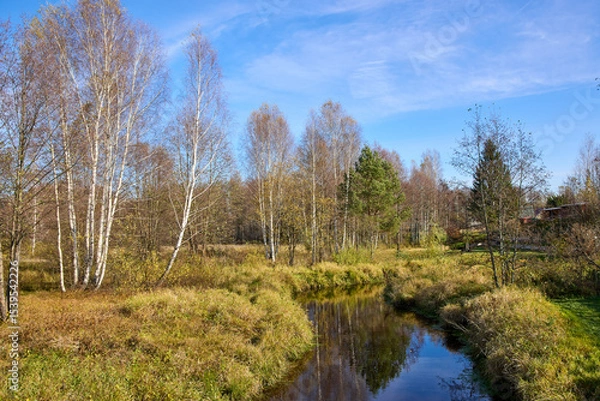 Obraz Tranquil view of the river bank in autumn