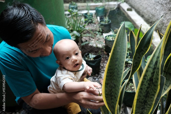 Obraz A Southeast asian father playing with baby boy in the home garden, doing everything together. Happy family 