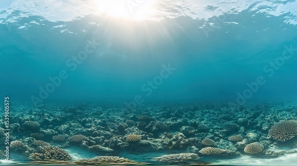 Obraz Calm Underwater Coral Seascape With Sunbeams From the Surface