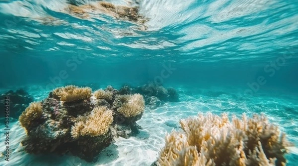 Obraz Bright Shallow Coral Reef Illuminated in Crystal-Clear Blue Water