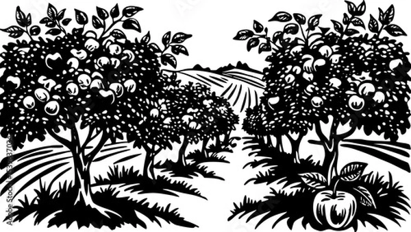 Fototapeta Black and white illustration of an apple orchard with trees and rolling hills in the distance