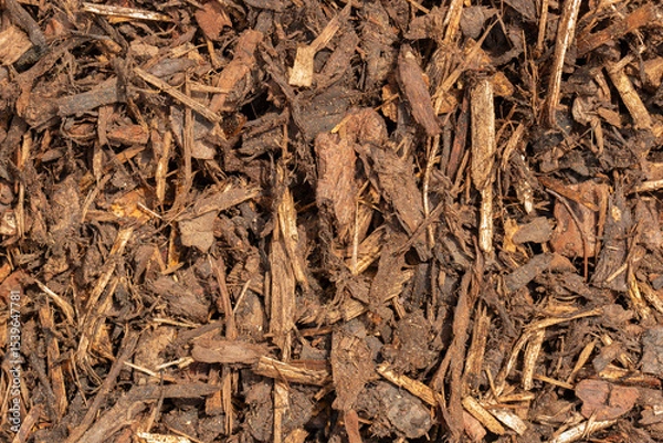Obraz Close-up of bark mulch chippings background backdrop. Used by gardeners for weed control and protecting plant roots from frost.