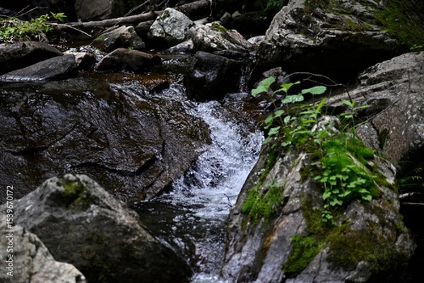 Obraz 高山市宇津江四十八滝