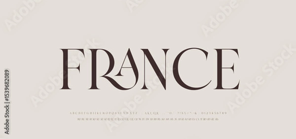Fototapeta Modern Luxury alphabet letters font. Classic Elegant Modern Serif Lettering Minimal Fashion Logo. Typography decoration fonts for branding, wedding, logos. vector illustration