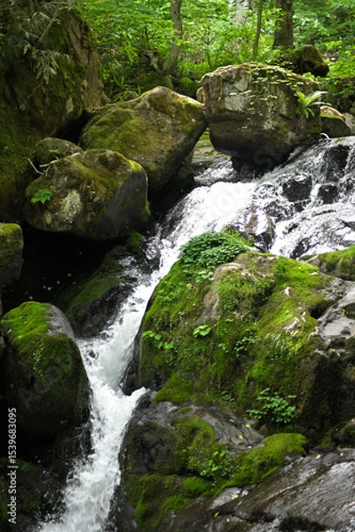 Obraz 高山市宇津江四十八滝