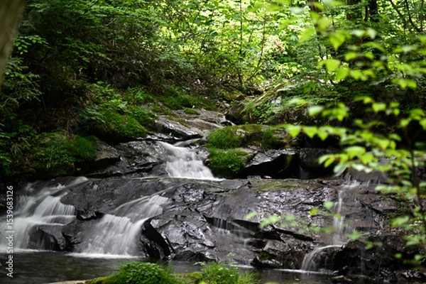 Obraz 高山市宇津江四十八滝