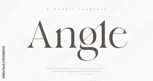 Fototapeta Modern Luxury alphabet letters font. Classic Elegant Modern Serif Lettering Minimal Fashion Logo. Typography decoration fonts for branding, wedding, logos. vector illustration