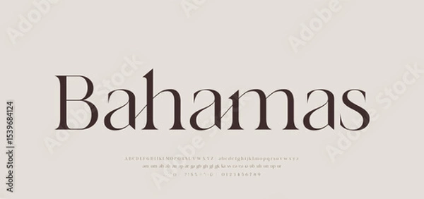 Fototapeta Modern Luxury alphabet letters font. Classic Elegant Modern Serif Lettering Minimal Fashion Logo. Typography decoration fonts for branding, wedding, logos. vector illustration