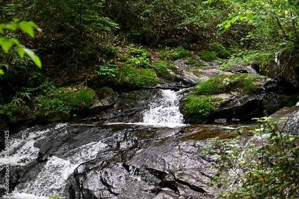 Obraz 高山市宇津江四十八滝