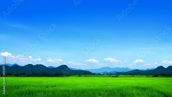 Fototapeta Breathtaking landscape view of lush green fields and majestic mountains under a clear blue sky for nature enthusiasts