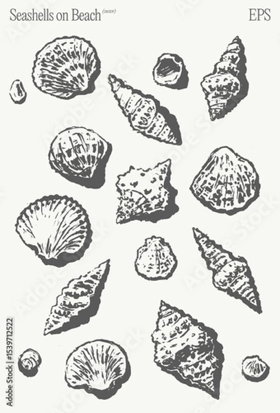 Fototapeta An Artistic Illustration Featuring Various Seashells Beautifully Arranged on a Beach Background