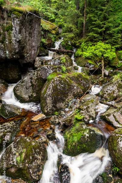 Fototapeta Kleiner Wasserfallb bei Hejnice im Isergebirge