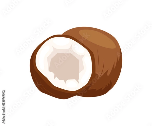 Obraz Coconuts and coconut half with leaves isolated on a white background. Vector illustration cartoon flat coconut icon isolated on white background.