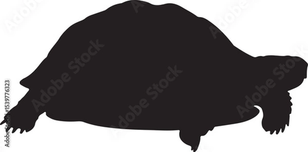 Obraz TORTOISE SILHOUETTE