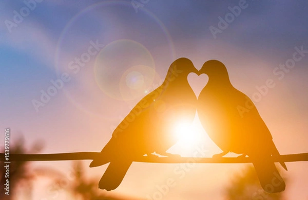 Fototapeta Dove Couple Silhouette on Wire Creating Heart Shape at Sunrise